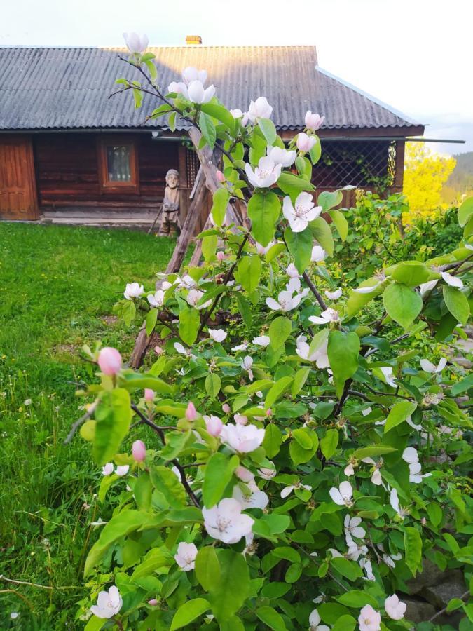 Starovitska Hata - Ethno-Cottage Verkhovijna Eksteriør bilde
