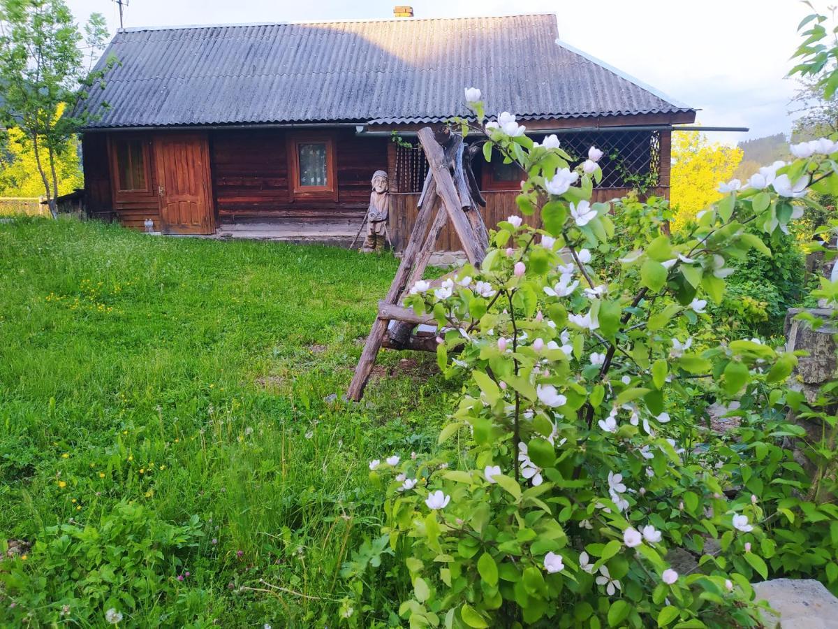 Starovitska Hata - Ethno-Cottage Verkhovijna Eksteriør bilde