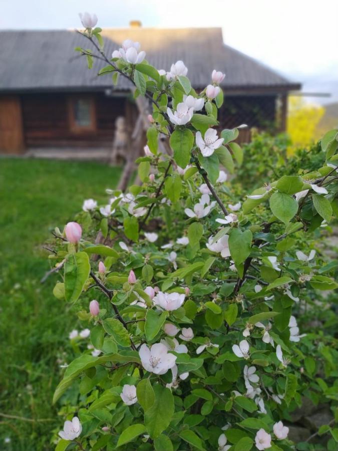 Starovitska Hata - Ethno-Cottage Verkhovijna Eksteriør bilde