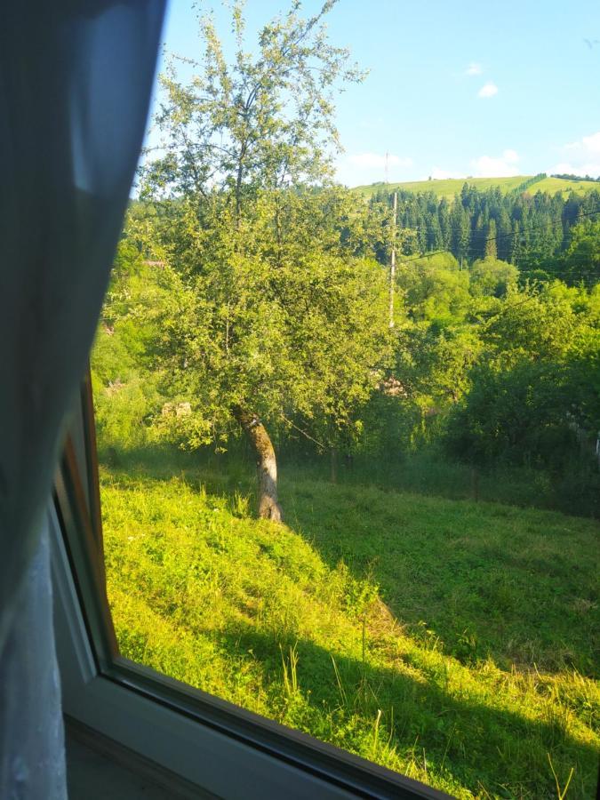 Starovitska Hata - Ethno-Cottage Verkhovijna Eksteriør bilde